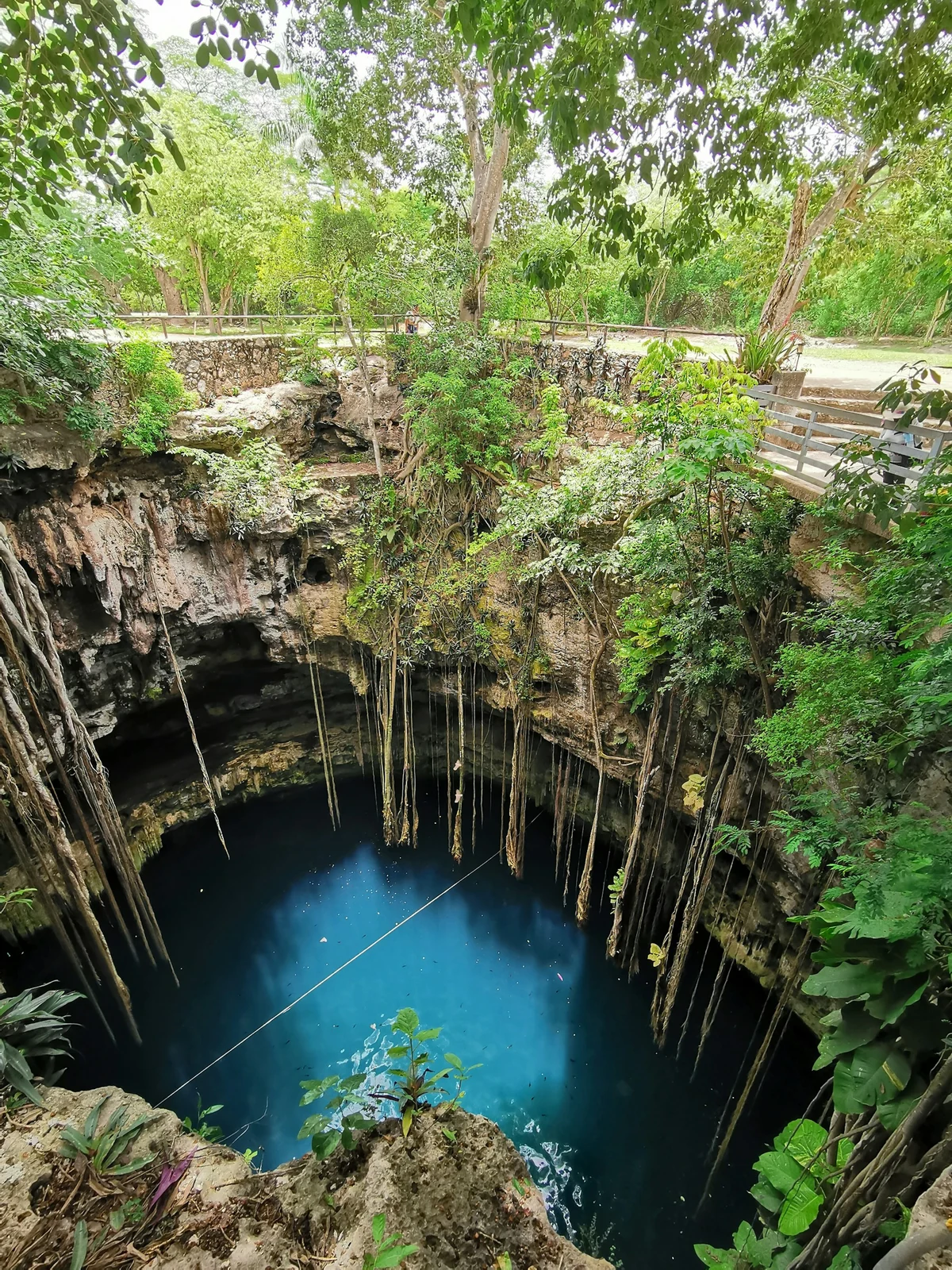 An open cenote surrounded by limestone and green forest in Yucatán, Mexico